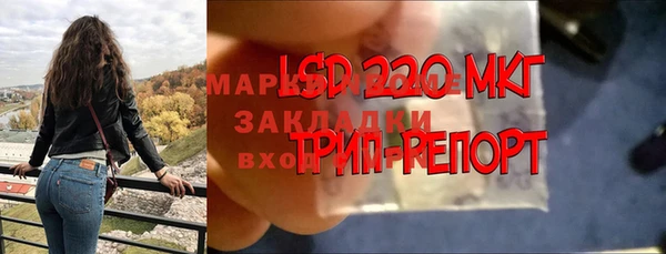 спиды Верея