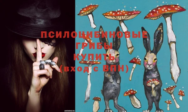 спиды Верея