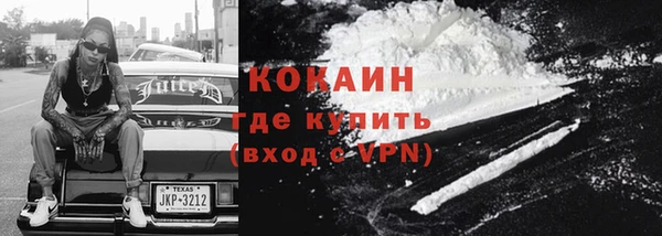 соль ск Тавда