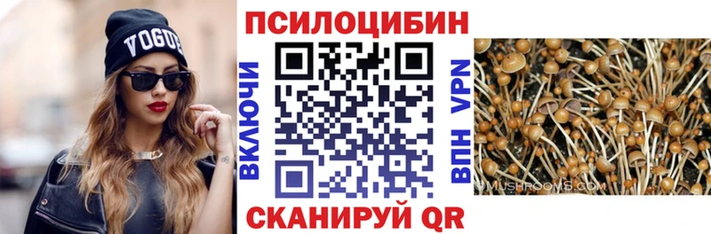 где можно купить наркотик  Можайск  Псилоцибиновые грибы GOLDEN TEACHER 